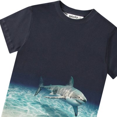Faded Shark