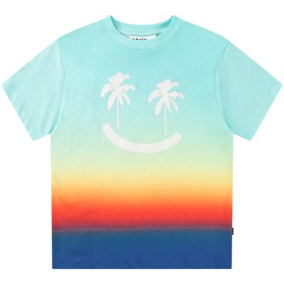 Palm Smile