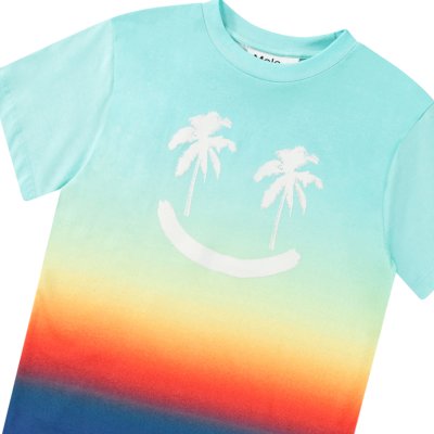 Palm Smile