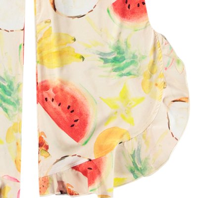 Painted Fruits