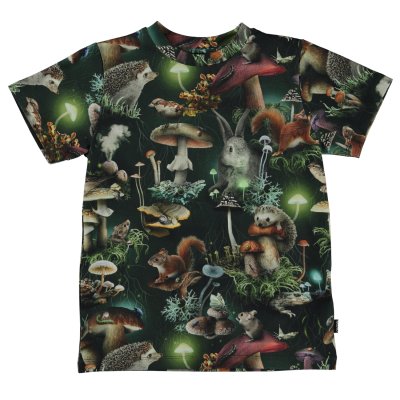 Ralphie Fungi Life Ralphie Fungi Life