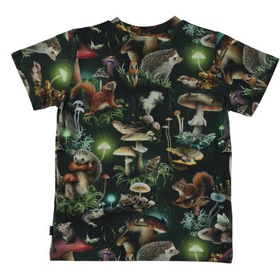 Ralphie Fungi Life Ralphie Fungi Life