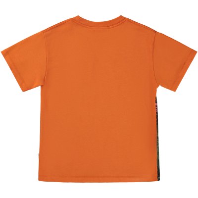 Riley Dino Lake Riley Dino Lake