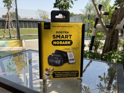 Dogtra smart Nobark