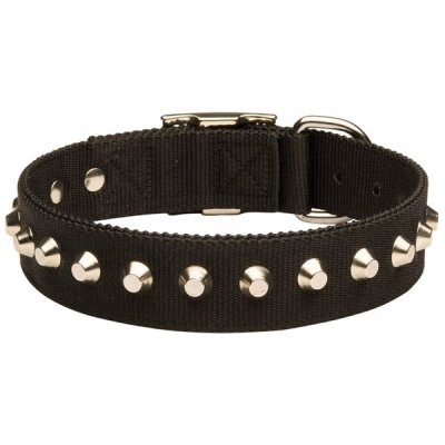 ( 17 inch ) Awesome Design Nylon Pitbull Collar with Silver-Like Pyramids C275##004