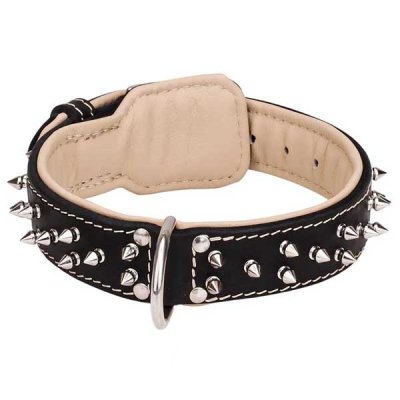 ( 20 inch ) Creative Design Leather Dog Collar with 2 Rows of Nickel-plated Spikes C444##005
