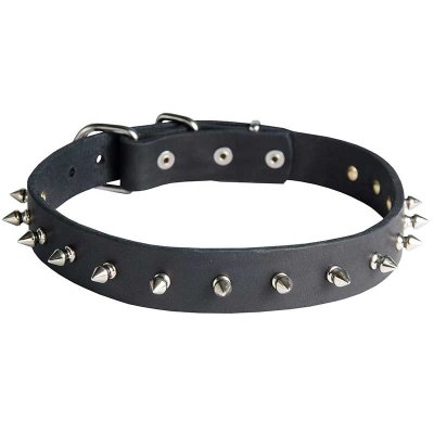 ( 23 inch )Designer Leather Dog Collar with Nickel Spikes S33S##010