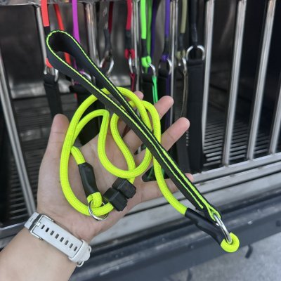 Slip Lead for Dog Training (43inch)