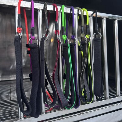Slip Lead for Dog Training (43inch)