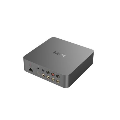 WIIM VIBELINK AMP  INTEGRATED AMP WITH DAC  100W PERCHANAL