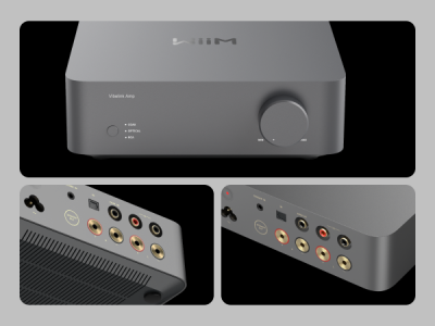 WIIM VIBELINK AMP  INTEGRATED AMP WITH DAC  100W PERCHANAL