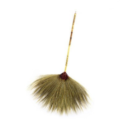 ไม้กวาดดอกหญ้า