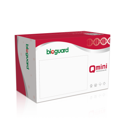 Qmini PCR Detection Kit │Feline [Bioguard]