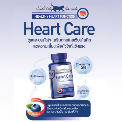 Heart Care For Cat