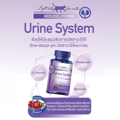 Urine System For Cat