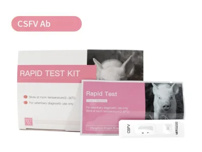 ชุดทดสอบแอนติบอดีไวรัสไข้หวัดคลาสสิกในหมู Classical Swine Fever Virus Antibody Test (CSFV Ab)