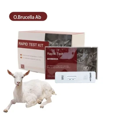 Ovine Brucella Antibody Rapid Test