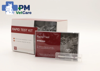 ชุดตรวจโรคอหิวาต์​แอฟริกา​ใน​สุกร​ (Antigen)-African Swine Fever Virus Antigen Rapid Test