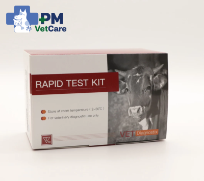 Ovine Brucella Antibody Rapid Test