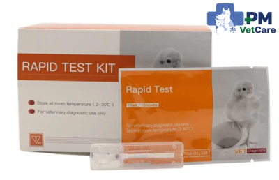 Marek's Disease Virus Antigen Rapid Test