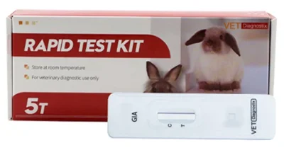 ชุดตรวจพยาธิ Trichomonas สําหรับ กระต่าย Rabbit Trichomonas Antigen Test (RA.TRM Ag)