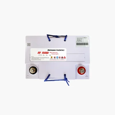 FM-150 8V-150Ah Combo