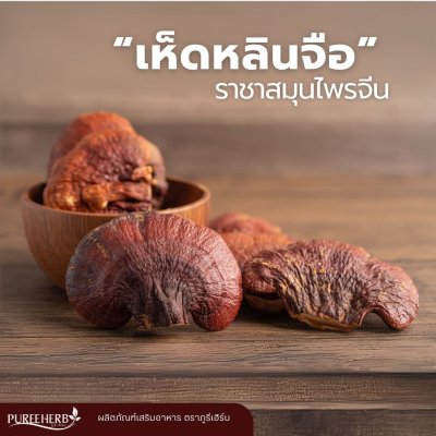 เห็ดหลินจือแคปซูล ตราภูรีเฮิร์บ - บำรุงร่างกาย