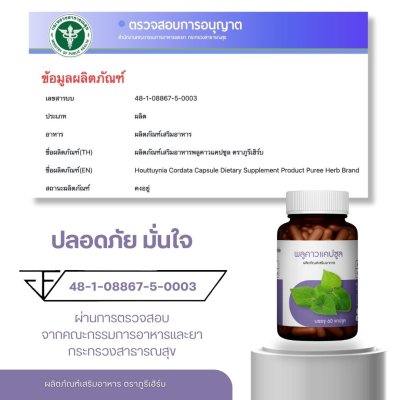 พลูคาวแคปซูล ตราภูรีเฮิร์บ - ปัญหาผิวหนัง