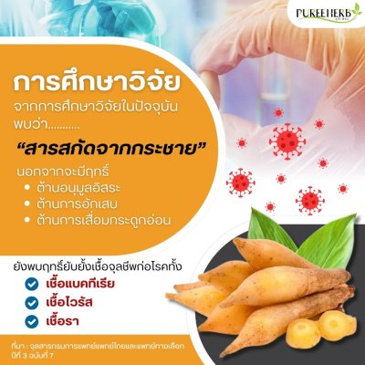 กระชายขาวแคปซูล ตราภูรีเฮิร์บ - ต้านไวรัส เสริมภูมิคุ้มกัน