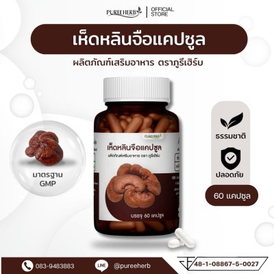 เห็ดหลินจือแคปซูล ตราภูรีเฮิร์บ - บำรุงร่างกาย