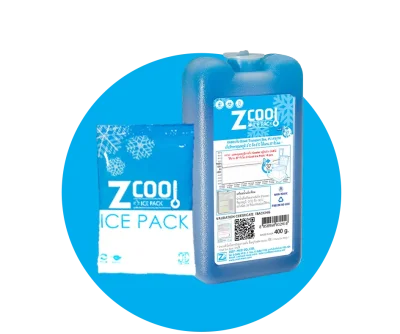 Z-ICE 2-8 C 200g 80pc