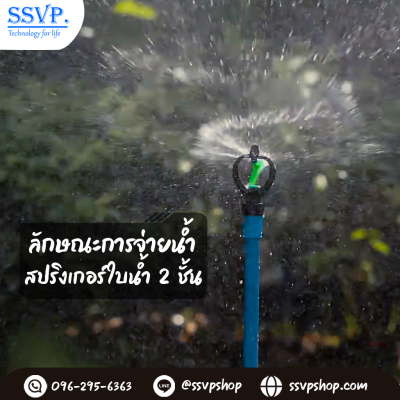 การกระจายน้ำของสปริงเกอร์