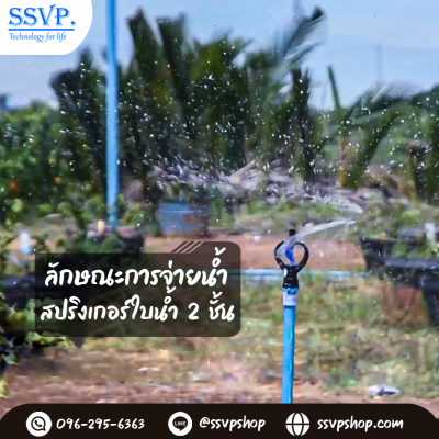 การกระจายน้ำของสปริงเกอร์