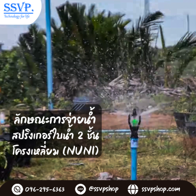 การกระจายน้ำของสปริงเกอร์