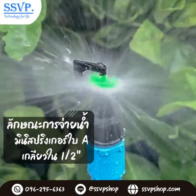 การกระจายน้ำของมินิสปริงเกอร์ 311-A