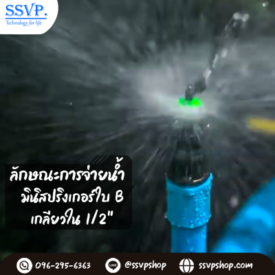 การกระจายน้ำของมินิสปริงเกอร์ 311-B