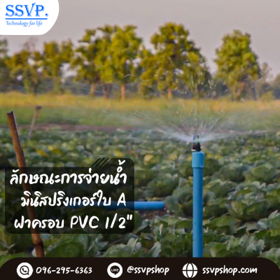 การกระจายน้ำของมินิสปริงเกอร์ 321-AC