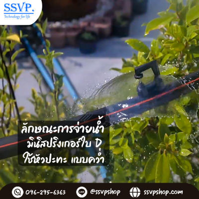 การกระจายน้ำของมินิสปริงเกอร์