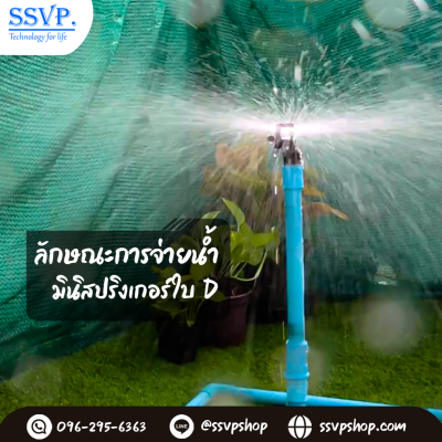 การกระจายน้ำของมินิสปริงเกอร์