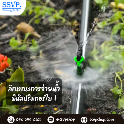 การกระจายน้ำของมินิสปริงเกอร์ 321-I