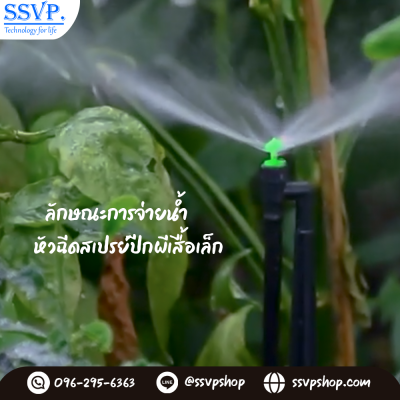 การกระจายน้ำของหัวฉีดสเปรย์