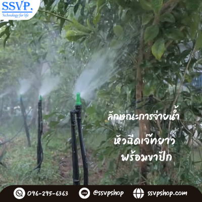 การกระจายน้ำของหัวฉีดสเปรย์