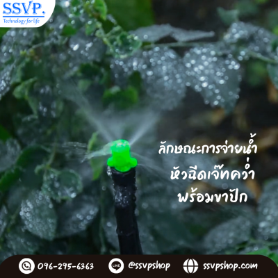 การกระจายน้ำของหัวฉีดสเปรย์