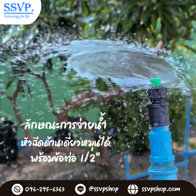 การกระจายน้ำของมินิสปริงเกอร์