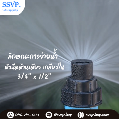 การกระจายน้ำของมินิสปริงเกอร์