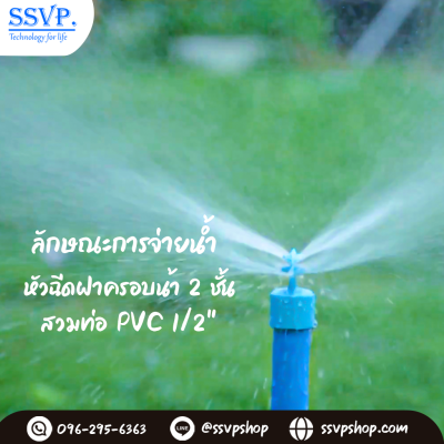 การกระจายน้ำของมินิสปริงเกอร์
