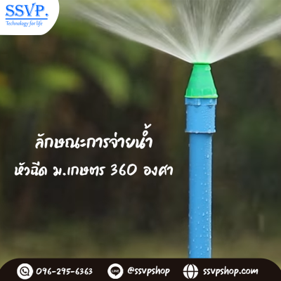 การกระจายน้ำของมินิสปริงเกอร์