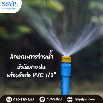 การกระจายน้ำของมินิสปริงเกอร์