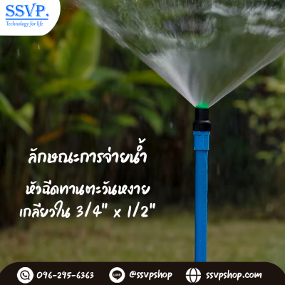 การกระจายน้ำของมินิสปริงเกอร์