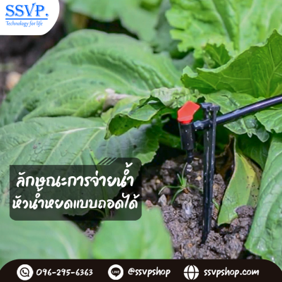 การกระจายน้ำของหัวน้ำหยด